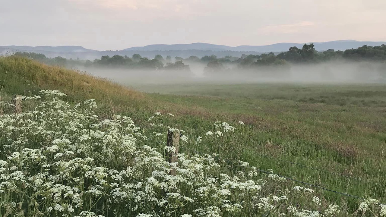 Photo of Outdoor in Bonar Bridge