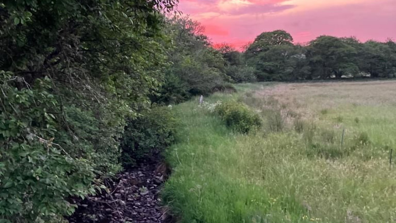 Photo of Others in Bonar Bridge