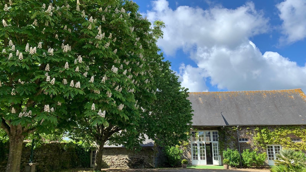Photo of Outdoor in Mont-Dol