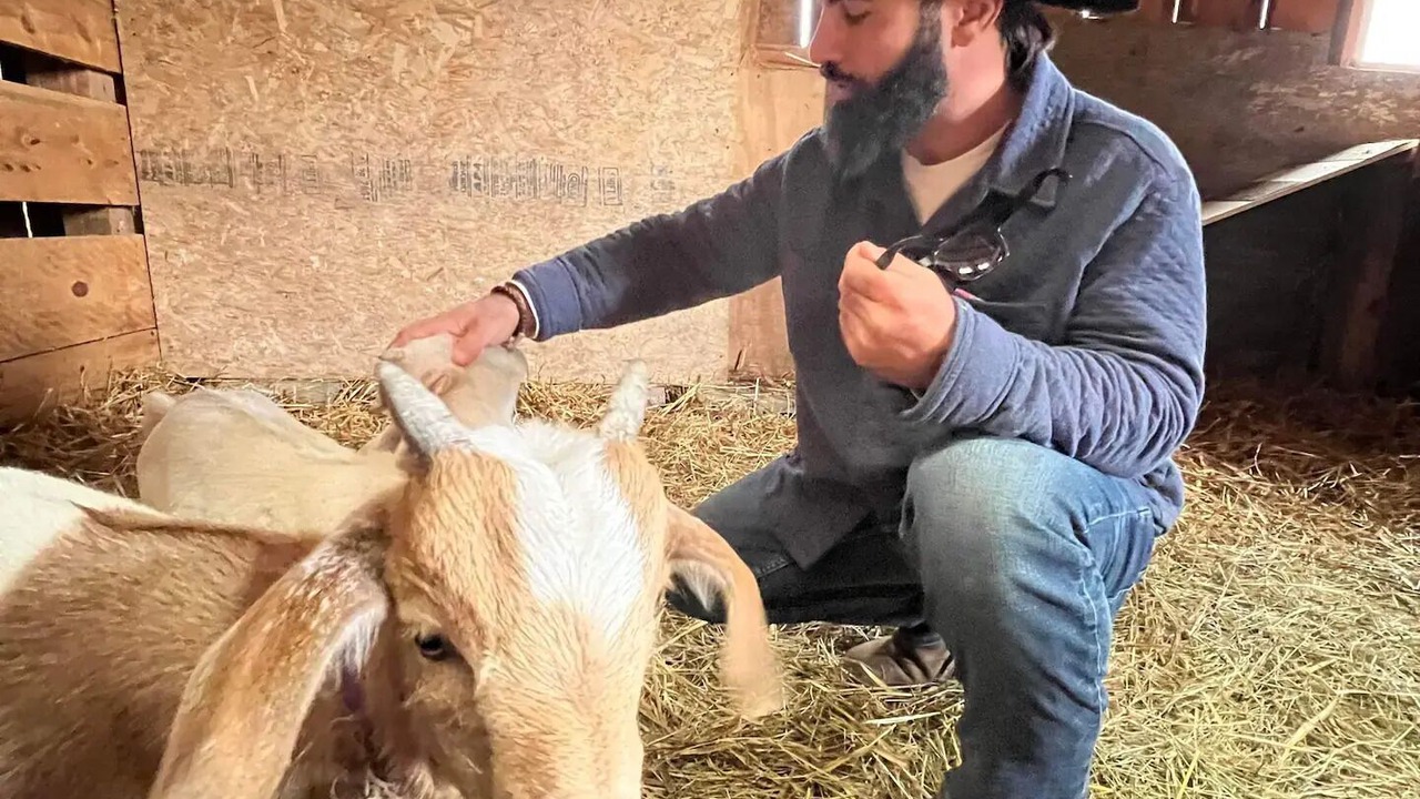 Photo of Others in Andover