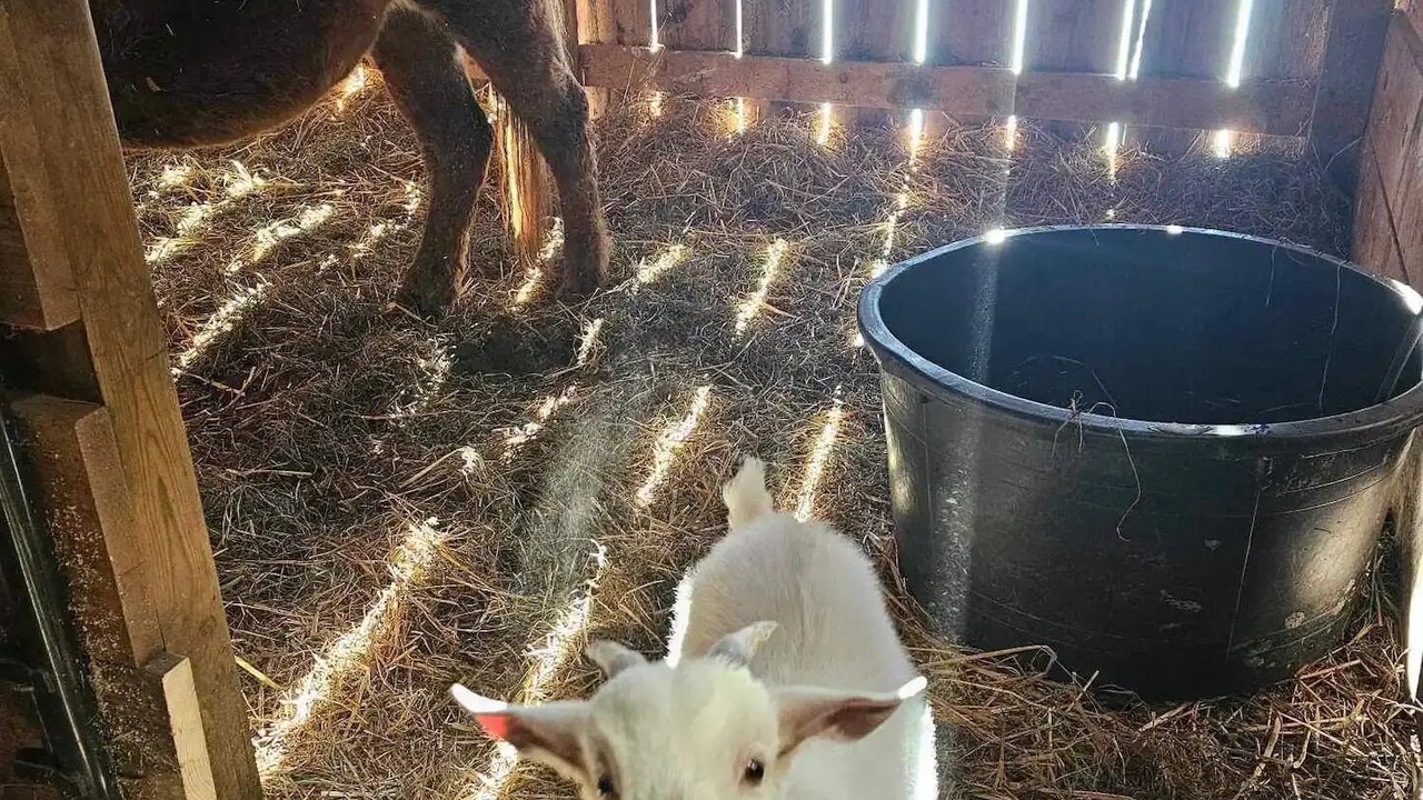 Photo of Others in Andover