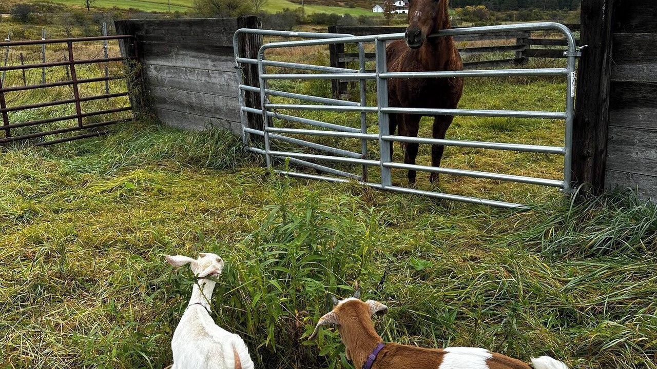 Photo of Others in Andover