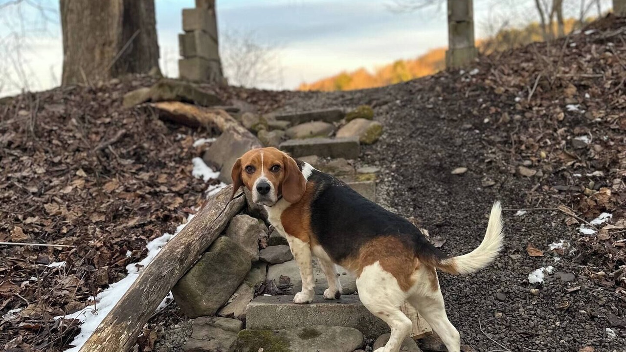 Photo of Outdoor in Andover