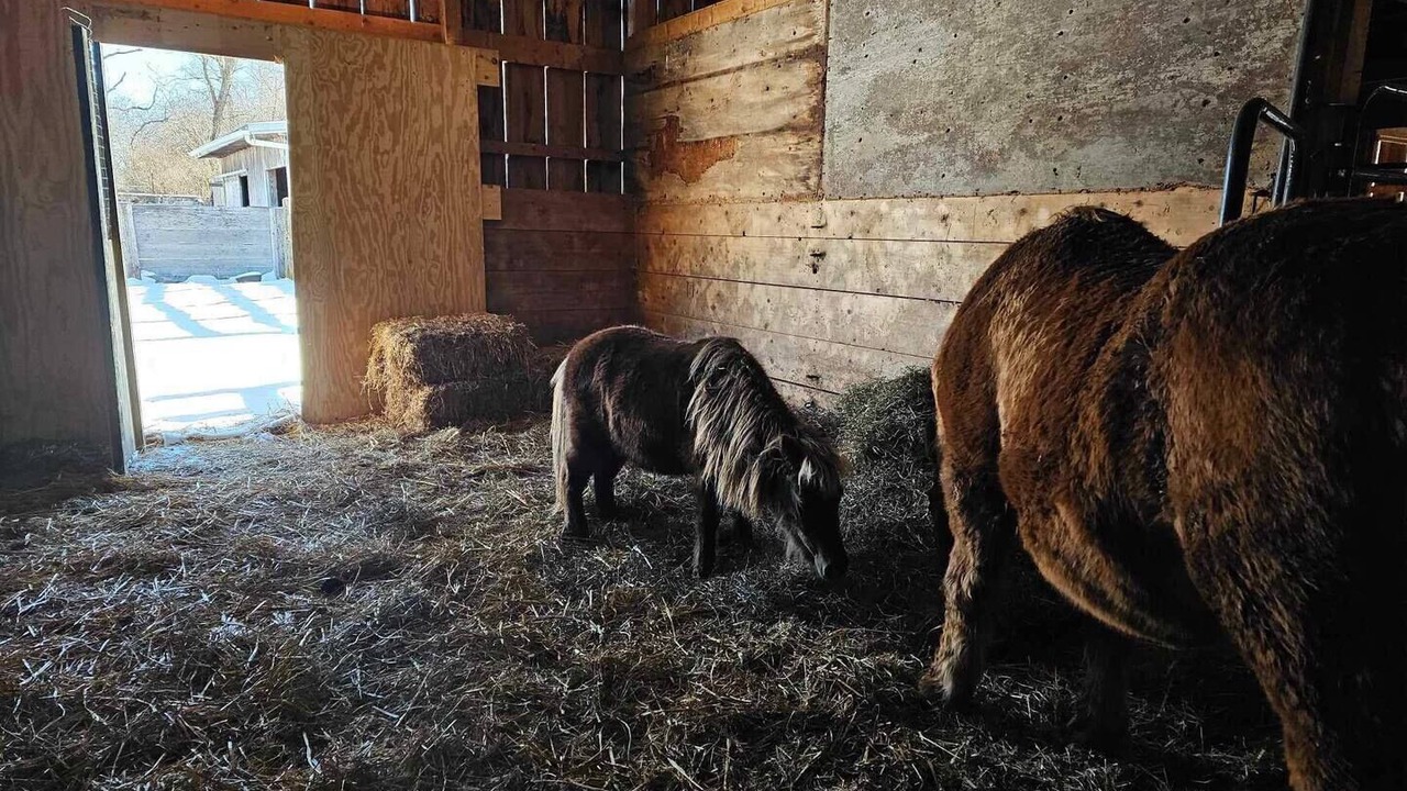 Photo of Others in Andover