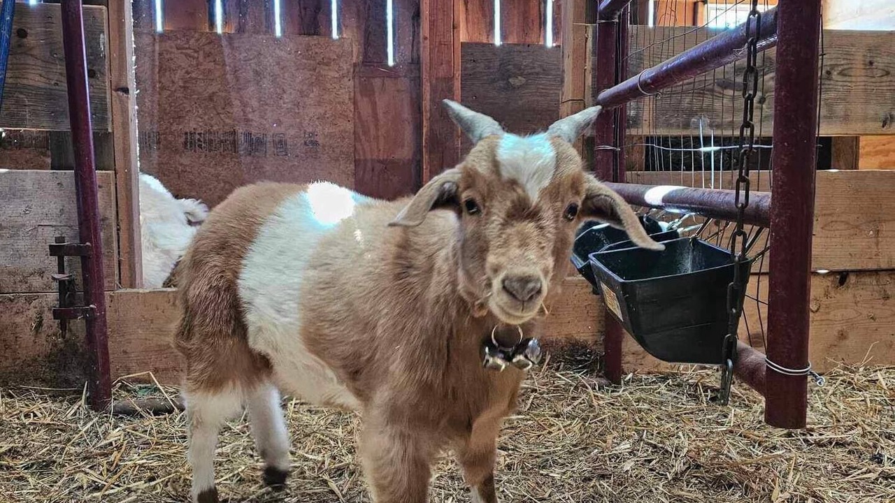 Photo of Others in Andover