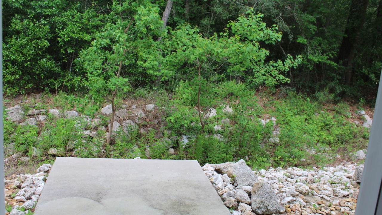 Photo of Outdoor in Huntsville