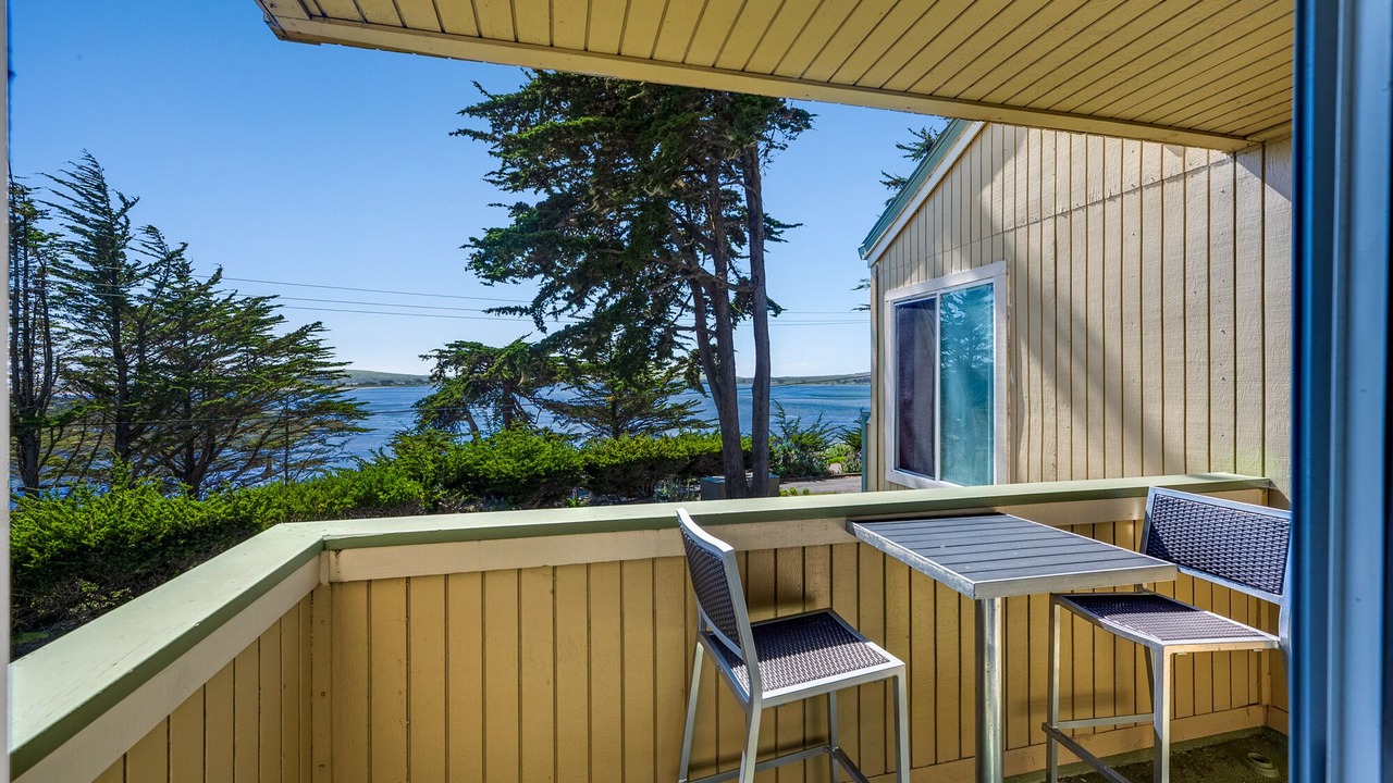 Photo of Outdoor in Bodega Bay