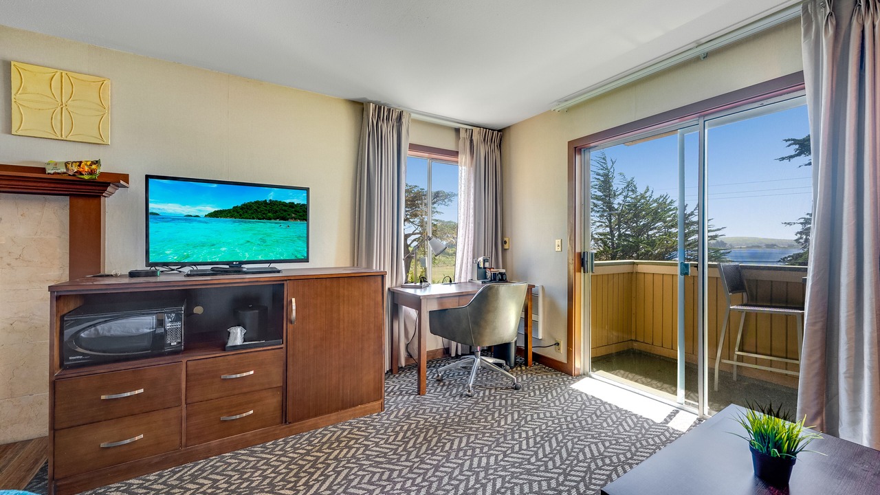 Photo of Others in Bodega Bay