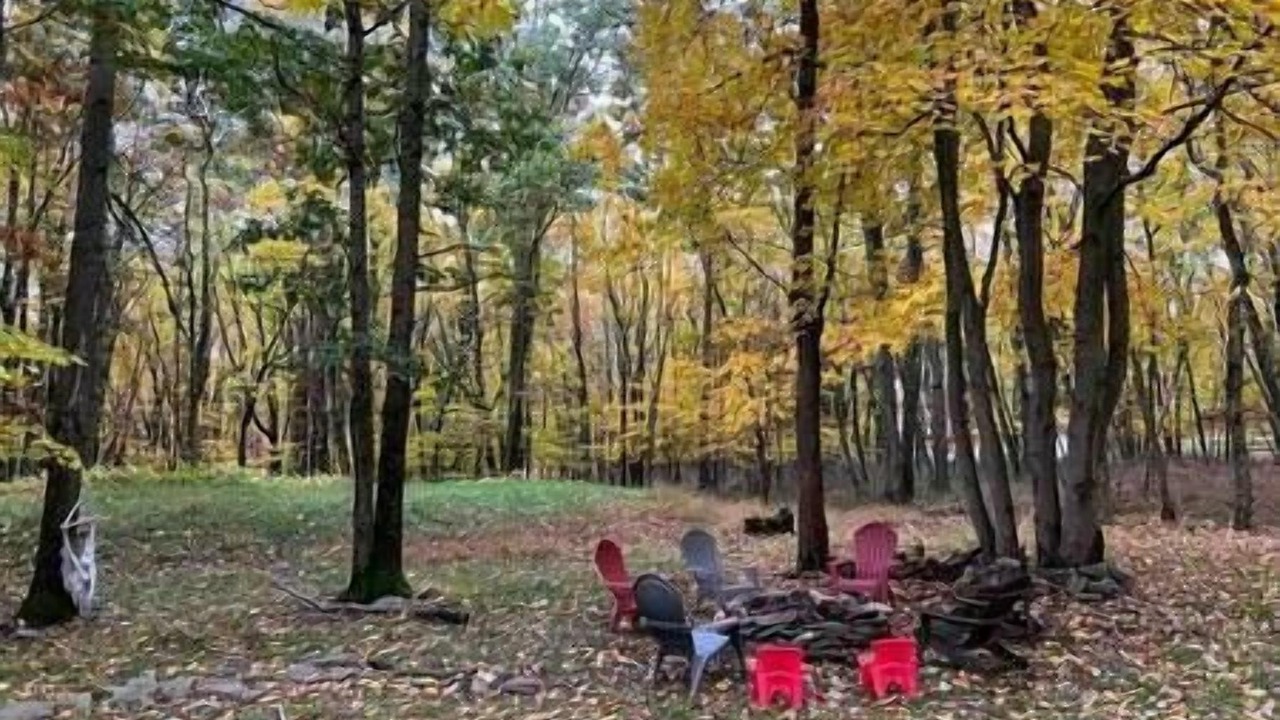Photo of Outdoor in Mount Pocahontas