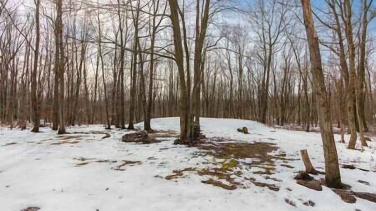 Photo of Others in Mount Pocahontas