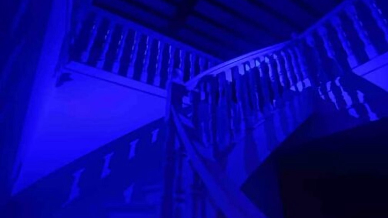 Photo of Others in Lapeyrouse-Mornay