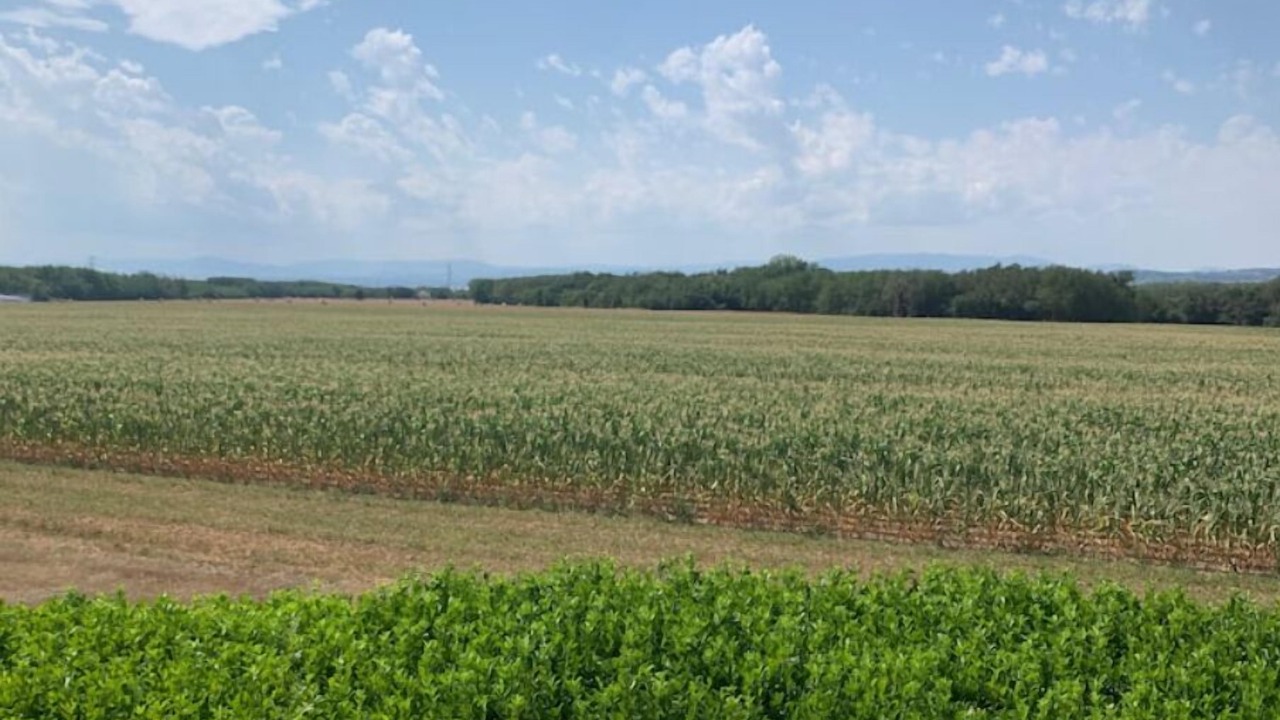 Photo of Others in Lapeyrouse-Mornay