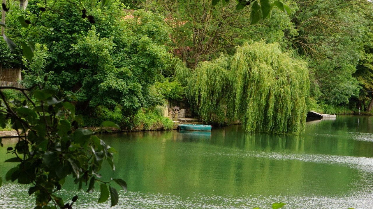 Photo of Outdoor in Joinville-le-Pont
