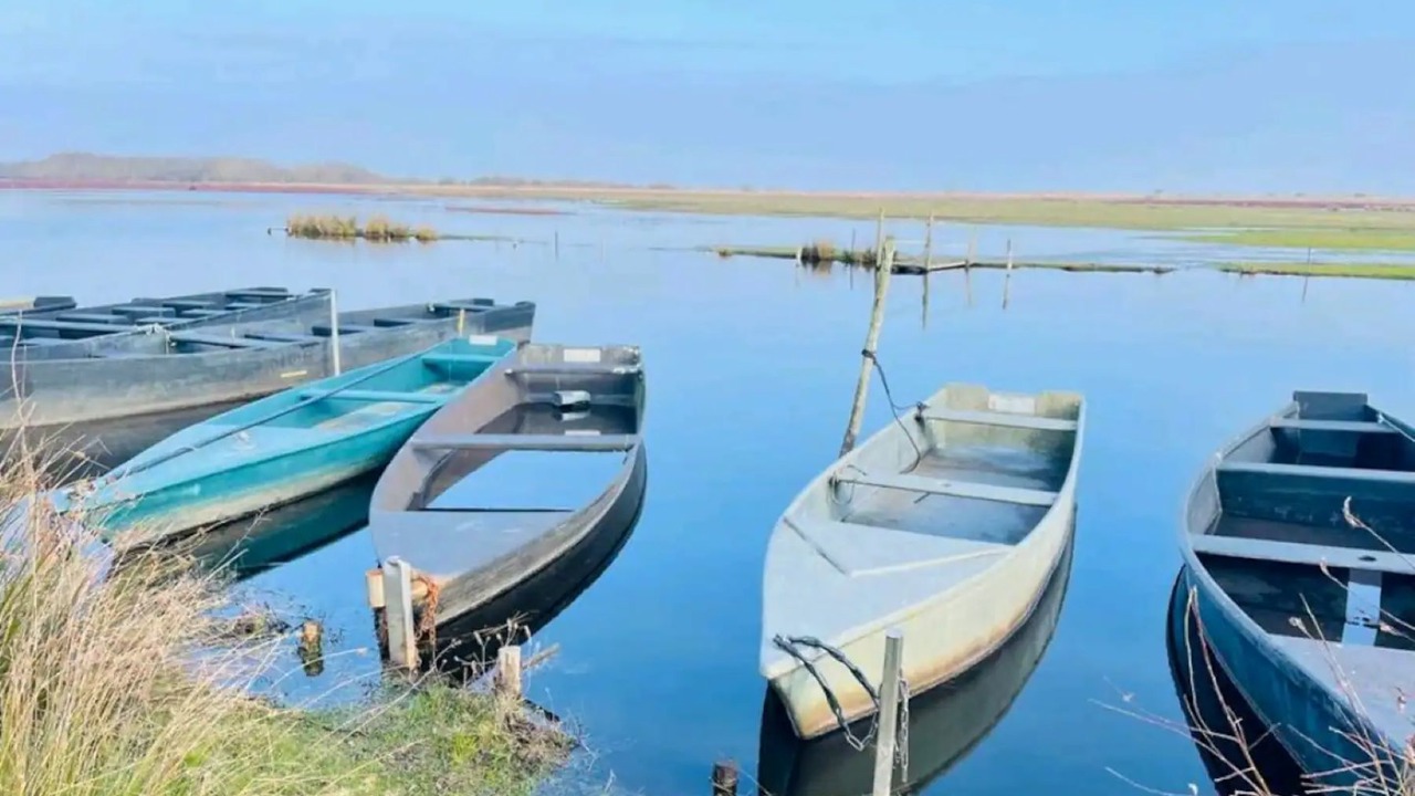 Photo of Others in Guerande