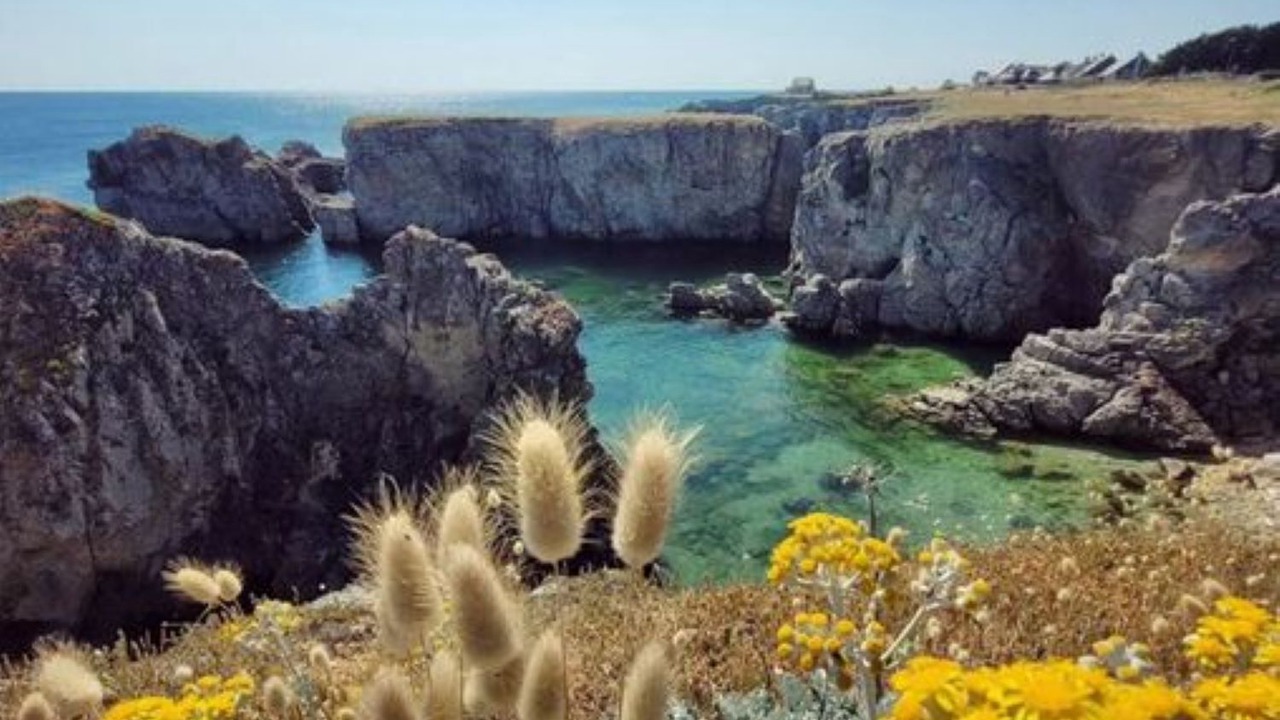 Photo of Others in Guerande