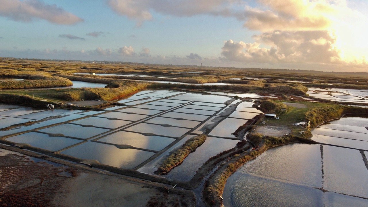Photo of Outdoor in Guerande