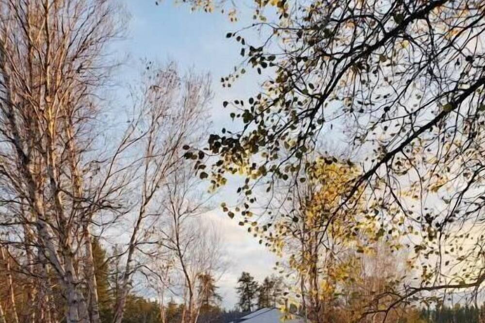 Photo of Outdoor in Saint-Ludger-de-Milot