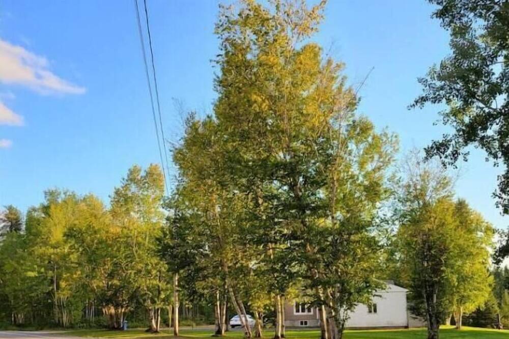 Photo of Outdoor in Saint-Ludger-de-Milot