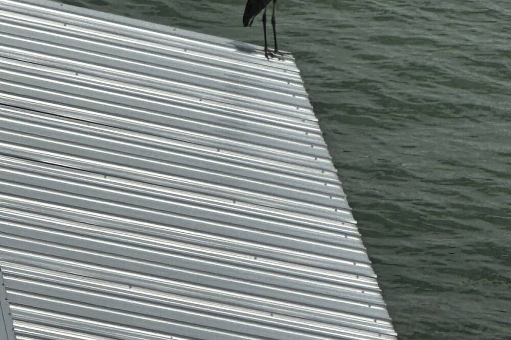 Photo of Others in Northwest Ithaca