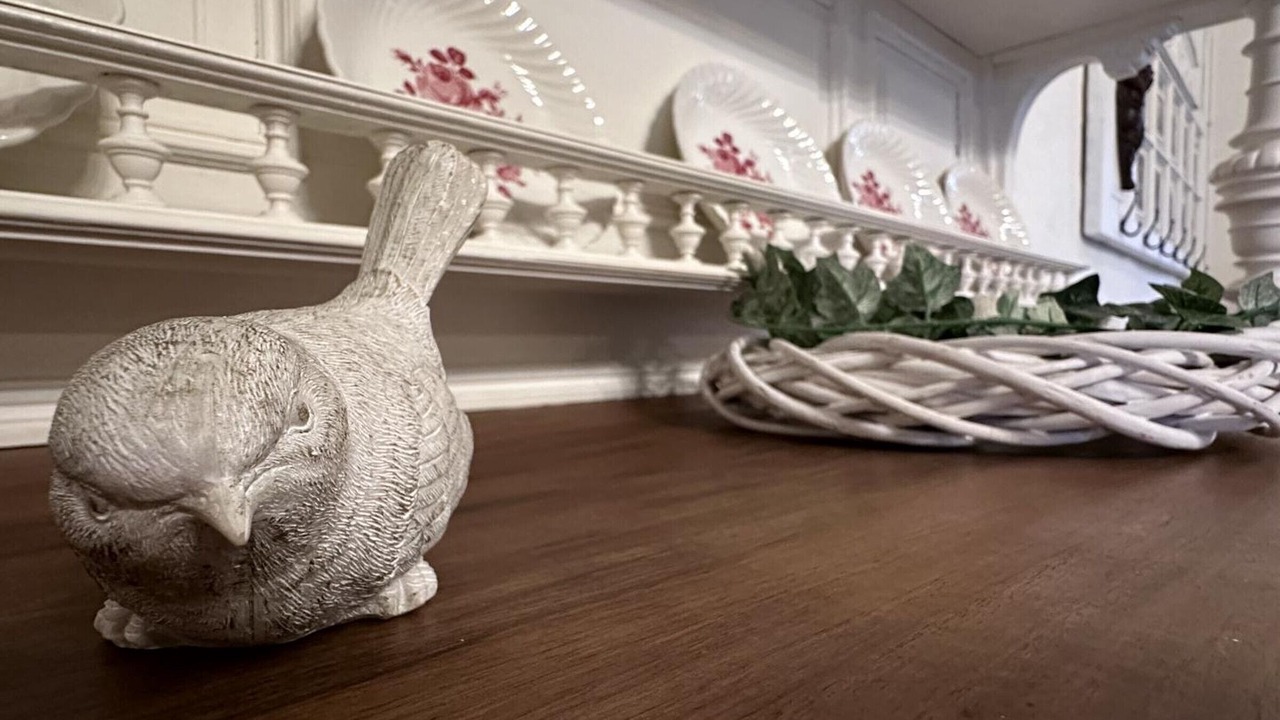 Photo of Others in Souvigny