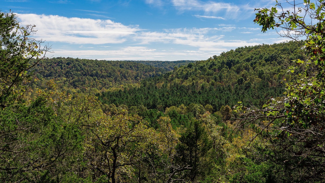 Photo of Others in Huntsville