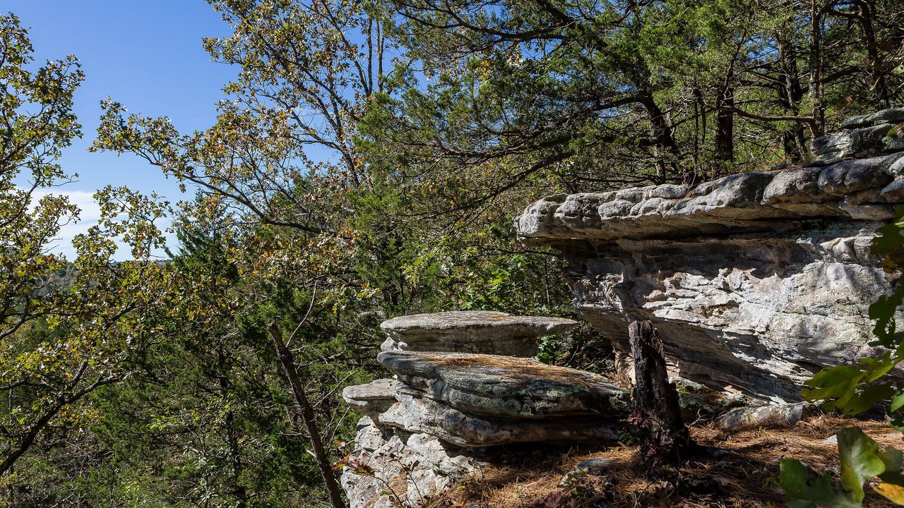 Photo of Outdoor in Huntsville