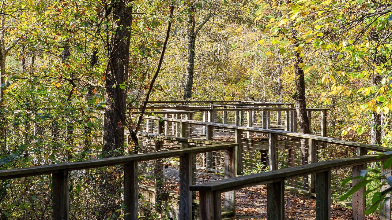 Photo of Outdoor in Huntsville