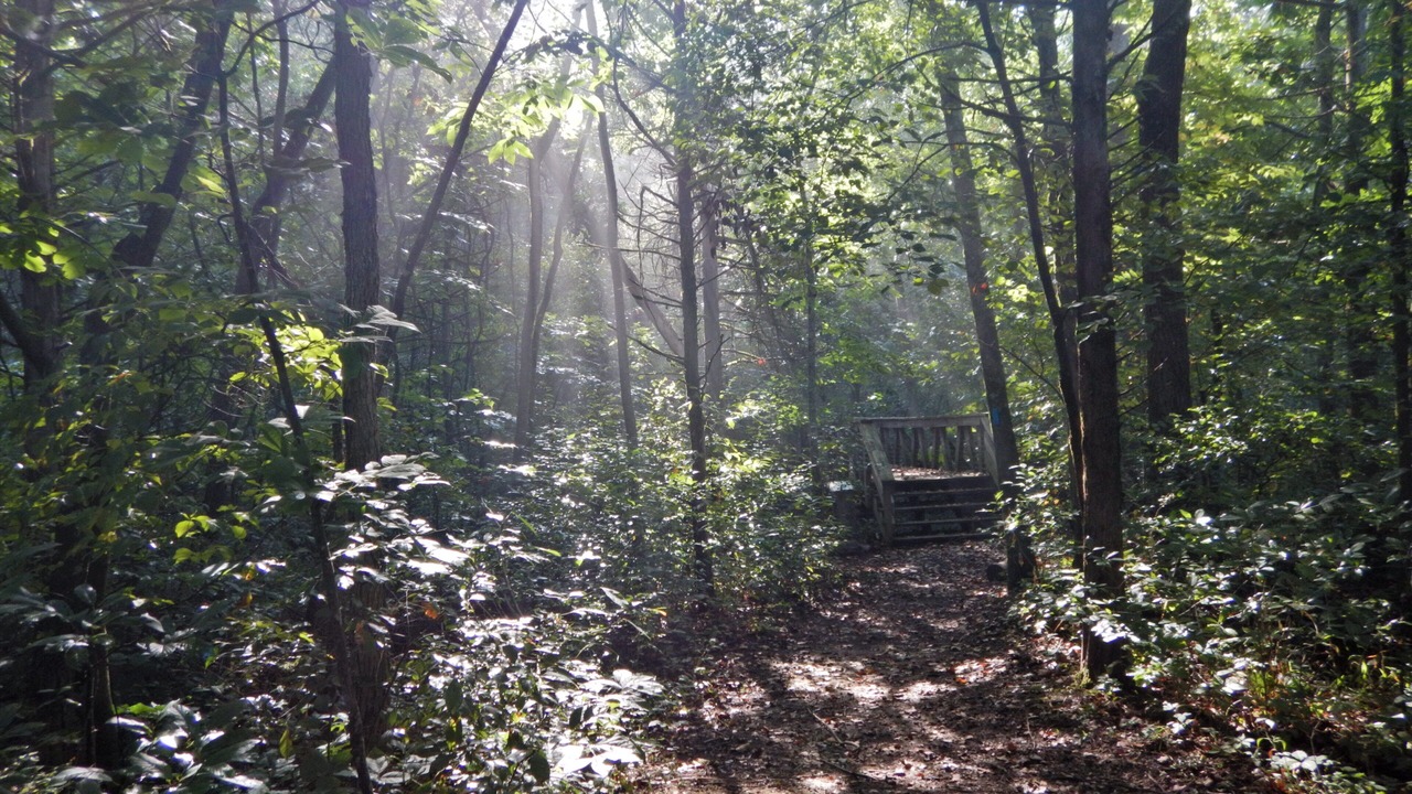 Photo of Outdoor in Huntsville