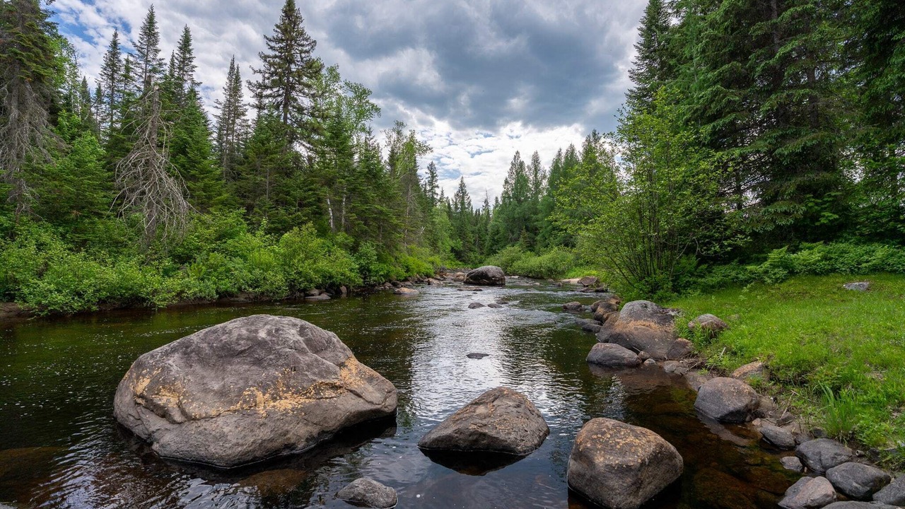 Photo of Outdoor in Notre-Dame-de-la-Merci
