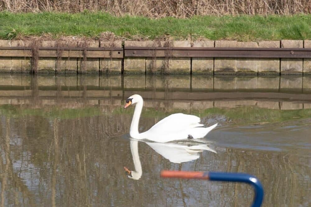 Photo of Others in Loughborough