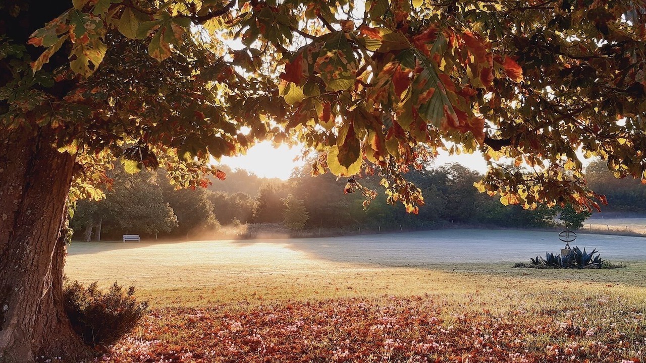 Photo of Outdoor in Mazieres-de-Touraine