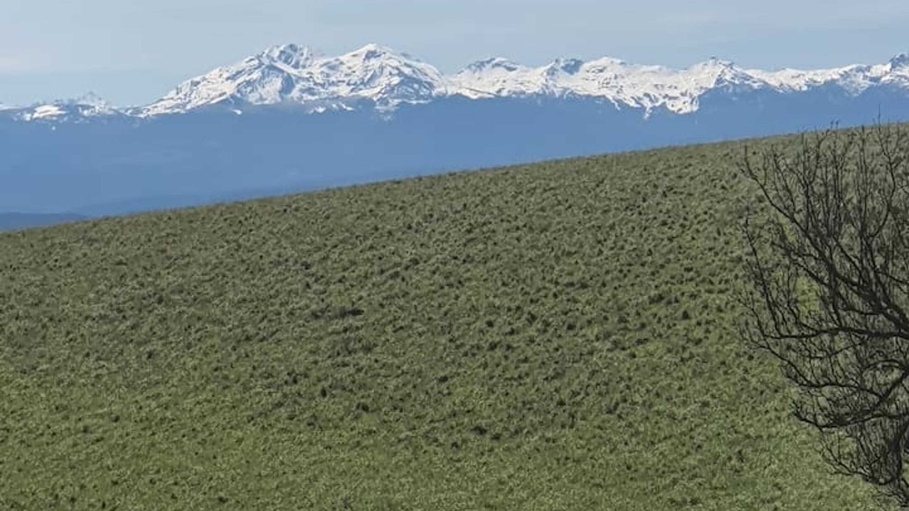 Photo of Others in Lignairolles