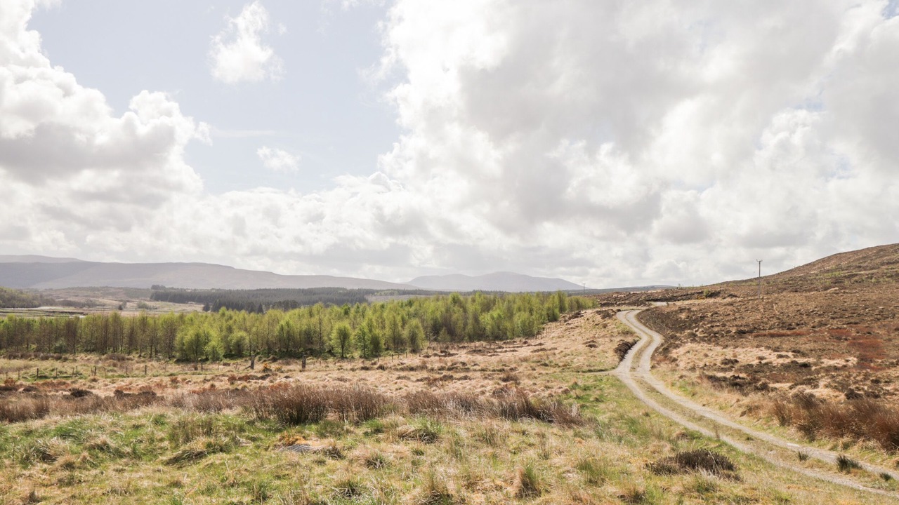 Photo of Others in Lairg