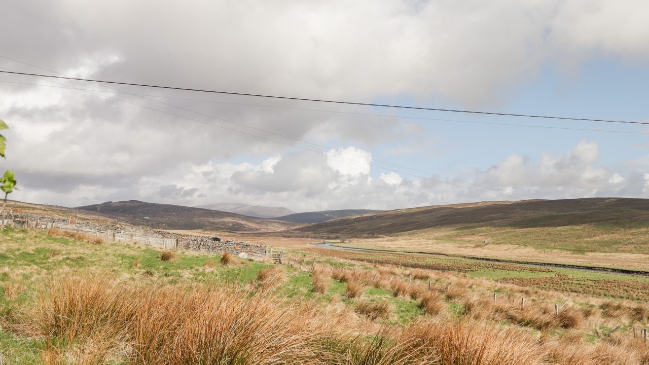 Photo of Others in Lairg