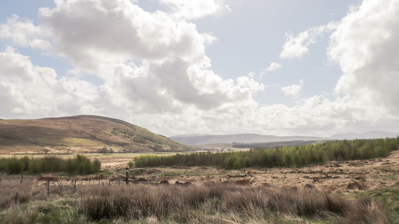 Photo of Others in Lairg