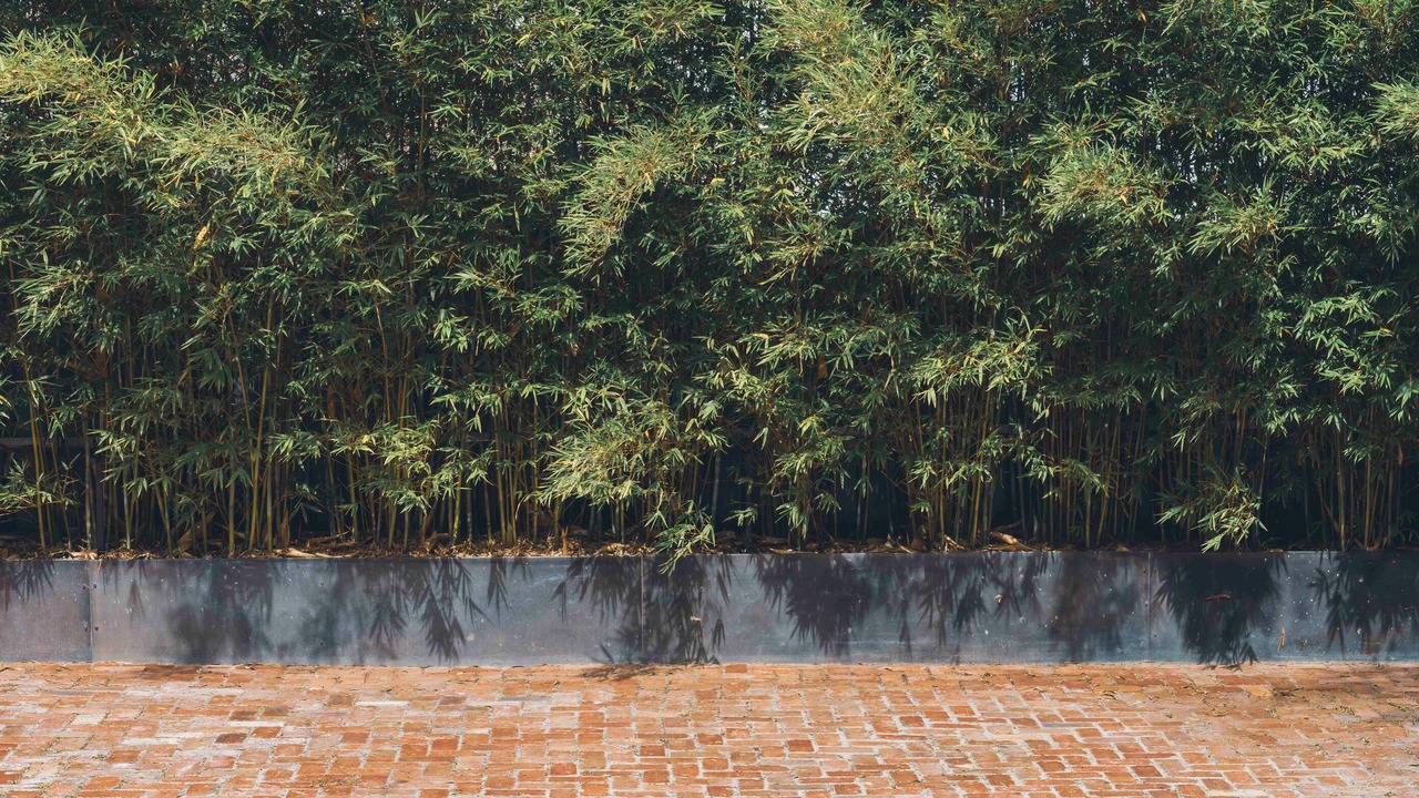 Photo of Outdoor in St Kilda