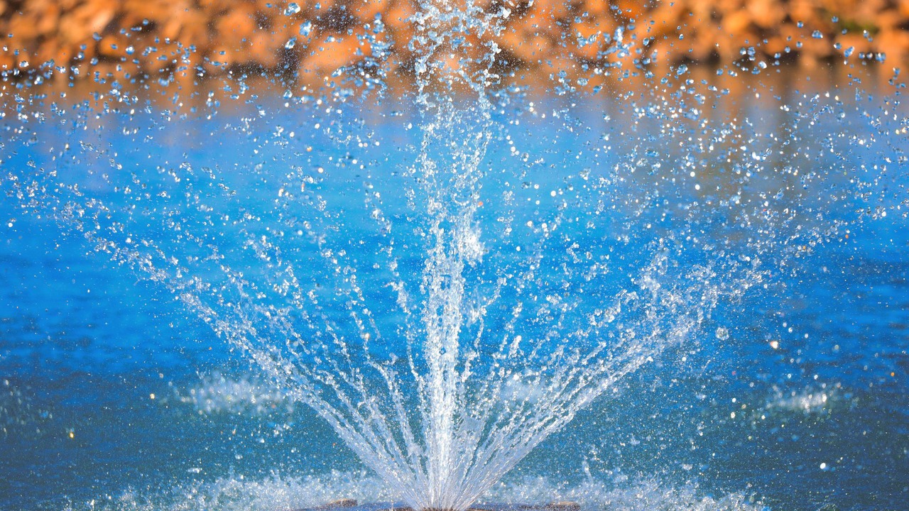 Photo of Outdoor in Willcox