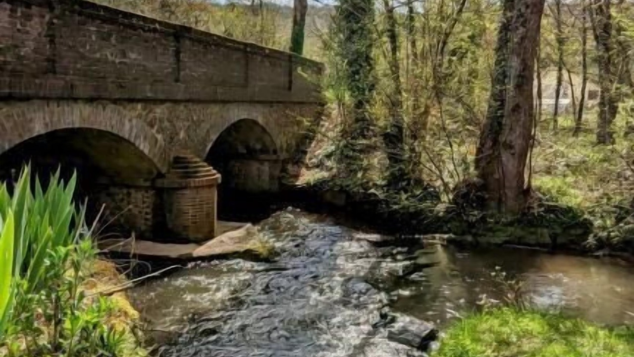 Photo of Others in Feings