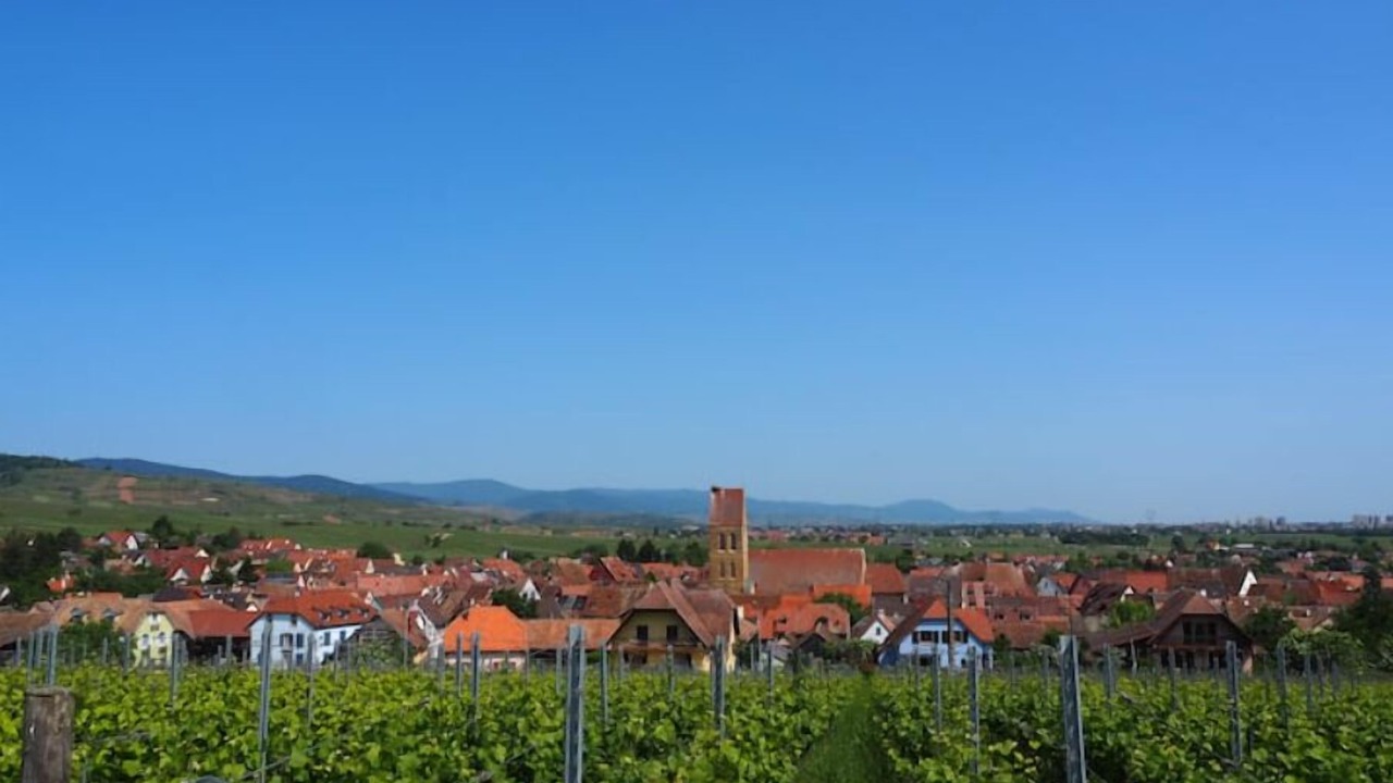 Photo of Others in Eguisheim