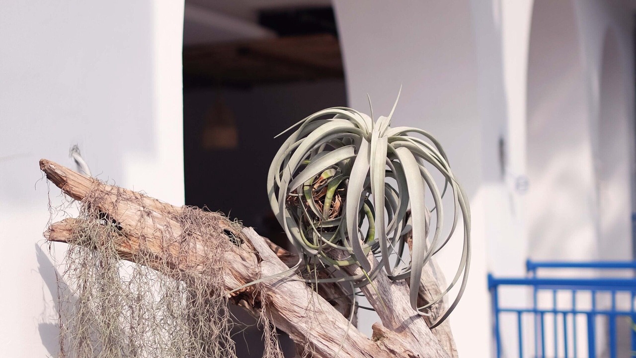 Photo of Outdoor in Babakan Ciamis