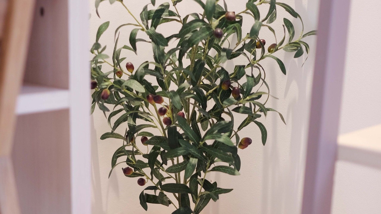 Photo of Others in Babakan Ciamis