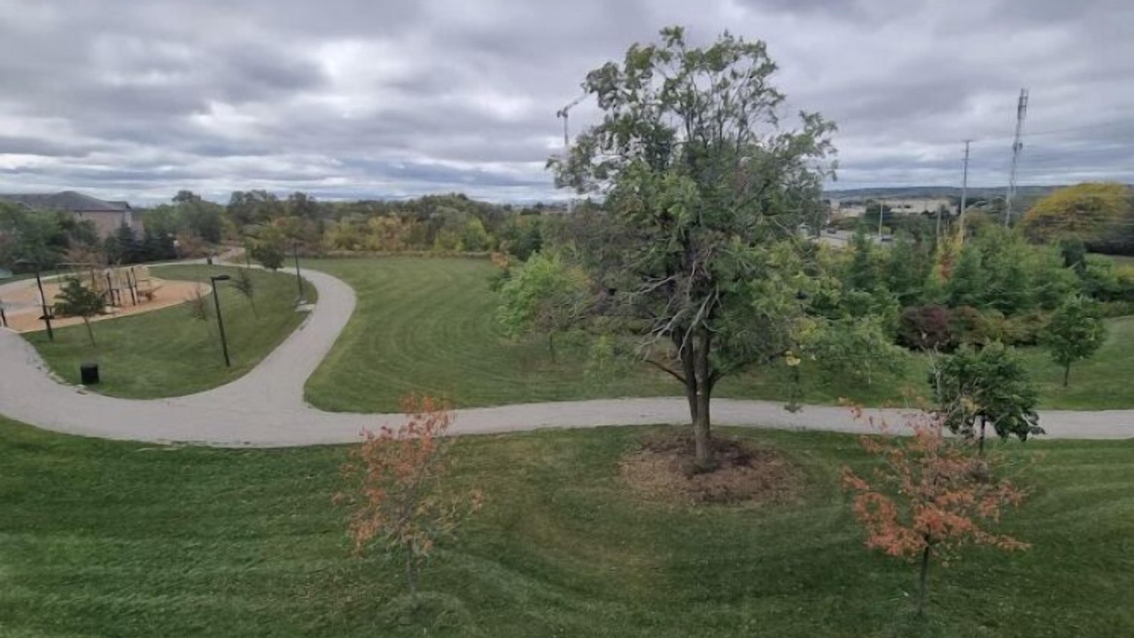Photo of Outdoor in Milton