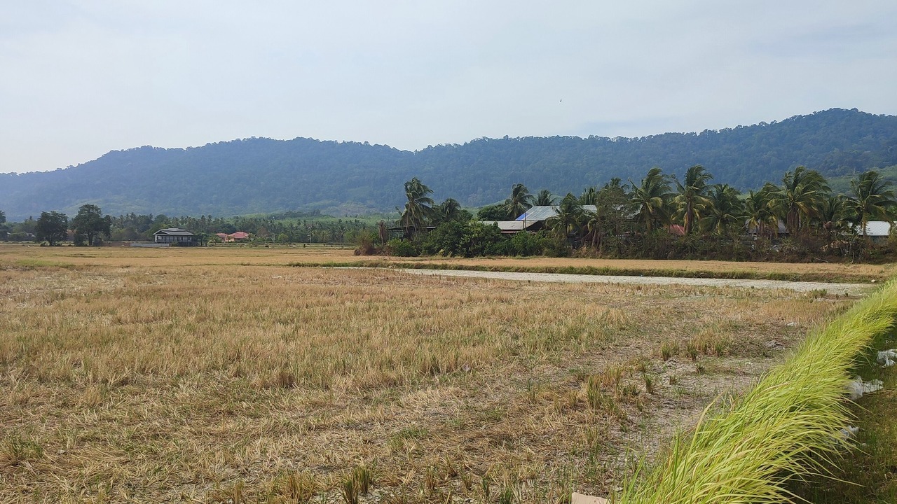 Photo of Outdoor in Nyior Chabang