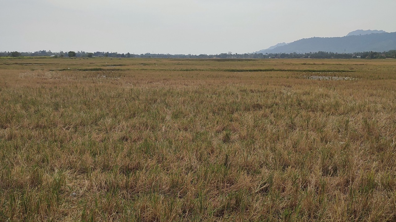 Photo of Outdoor in Nyior Chabang