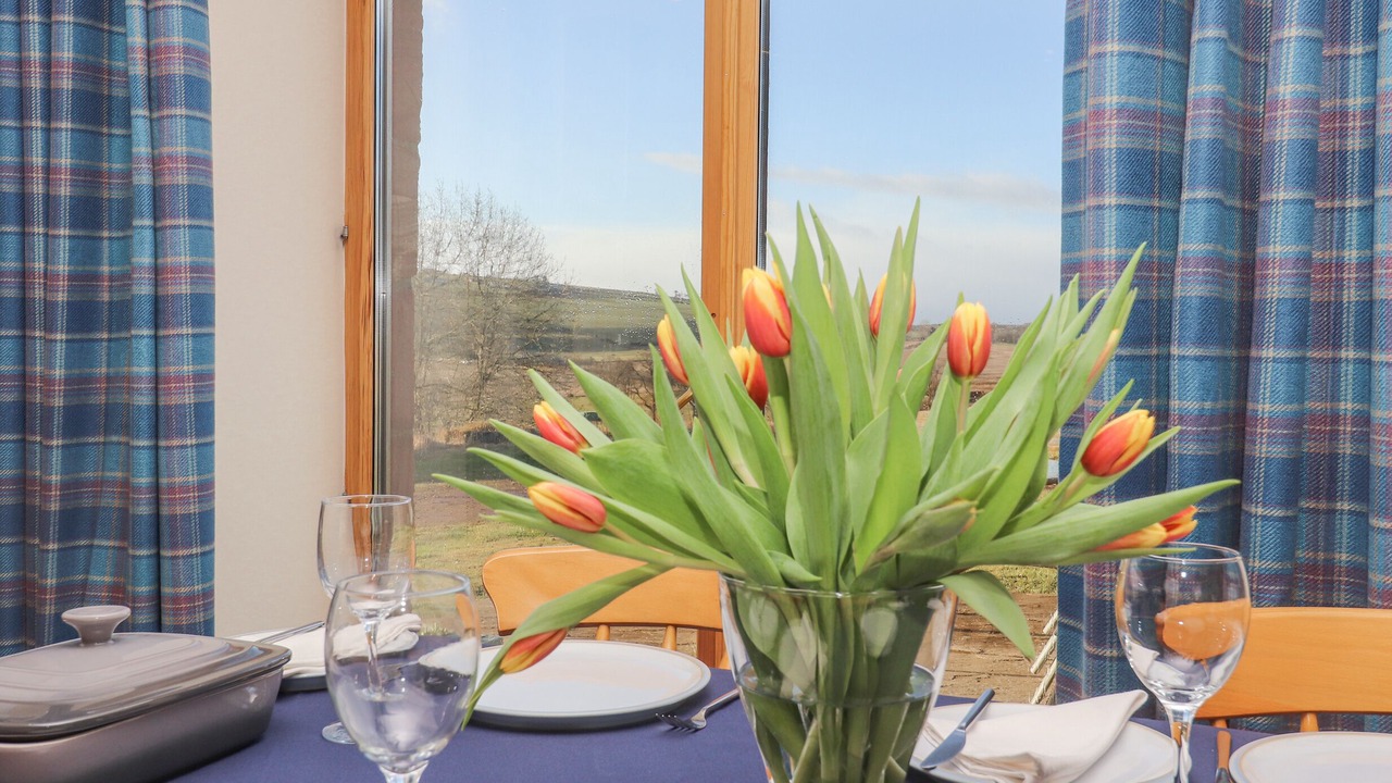 Photo of Others in Fortrose