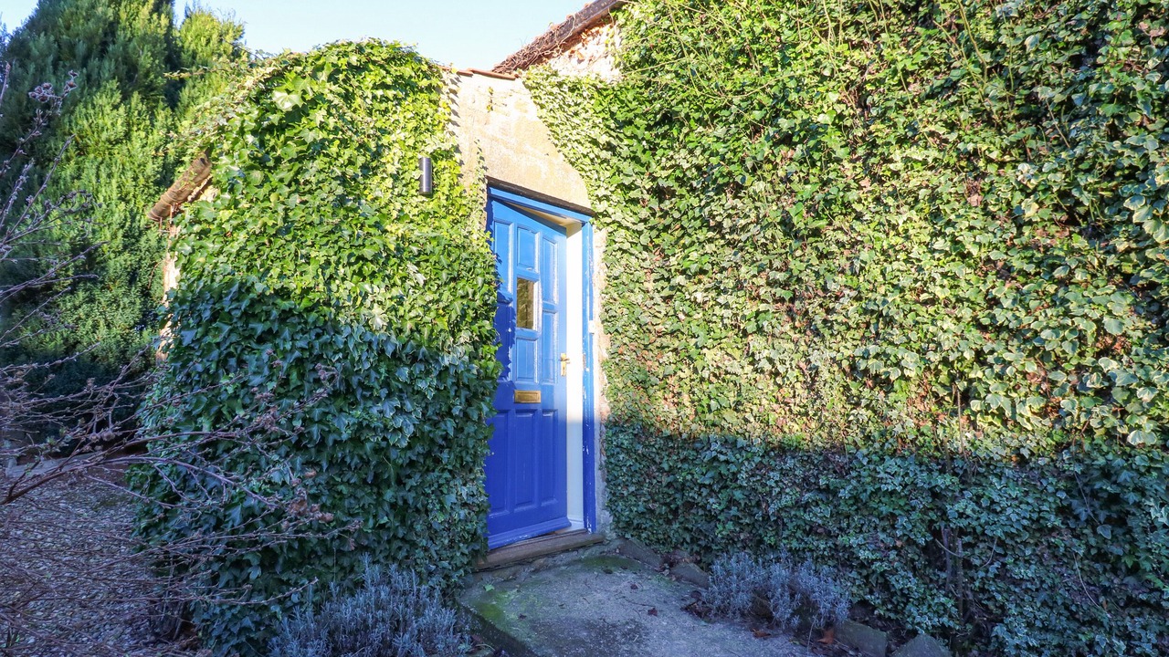 Photo of Outdoor in Caldwell