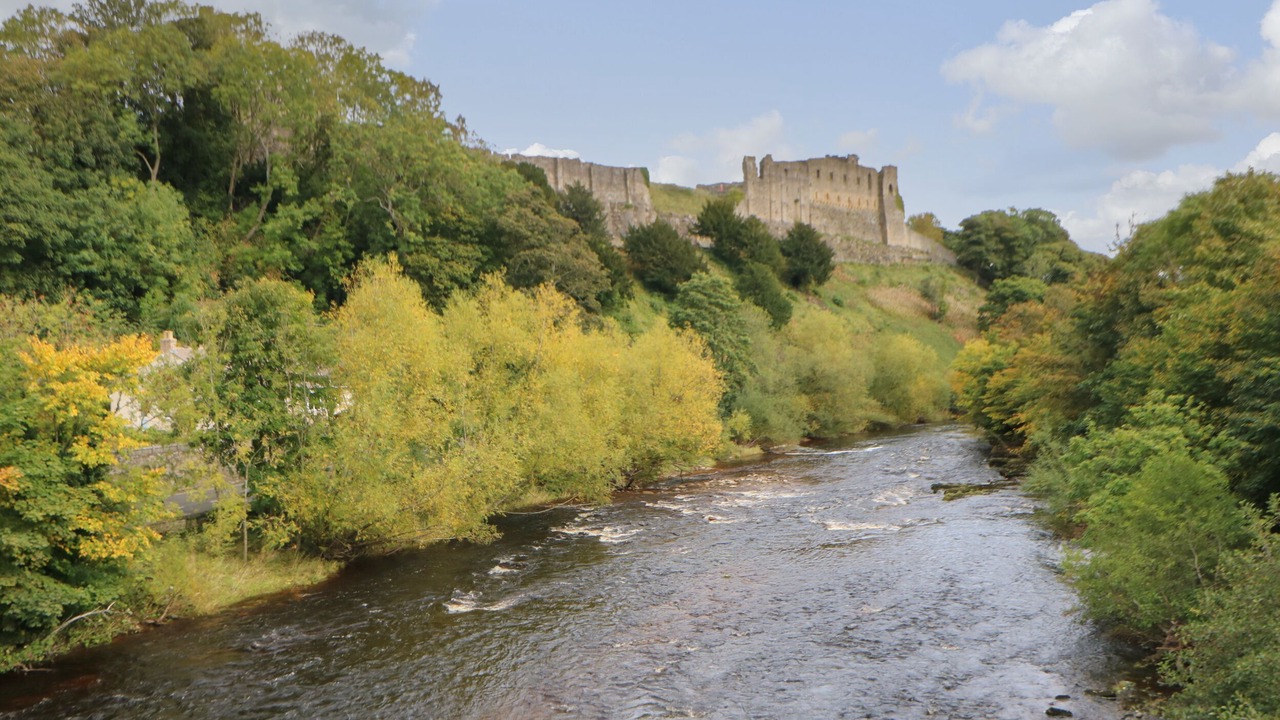 Photo of Others in Caldwell