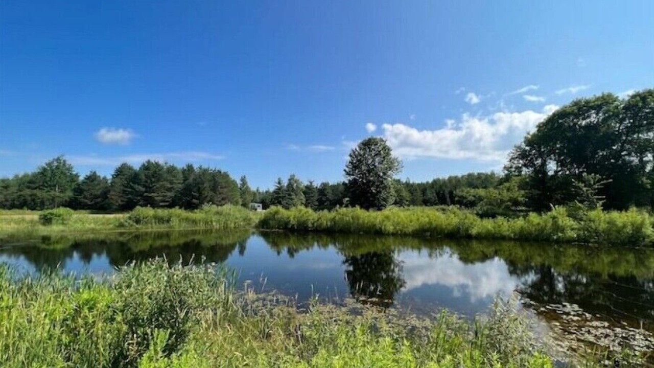 Photo of Outdoor in Newcastle