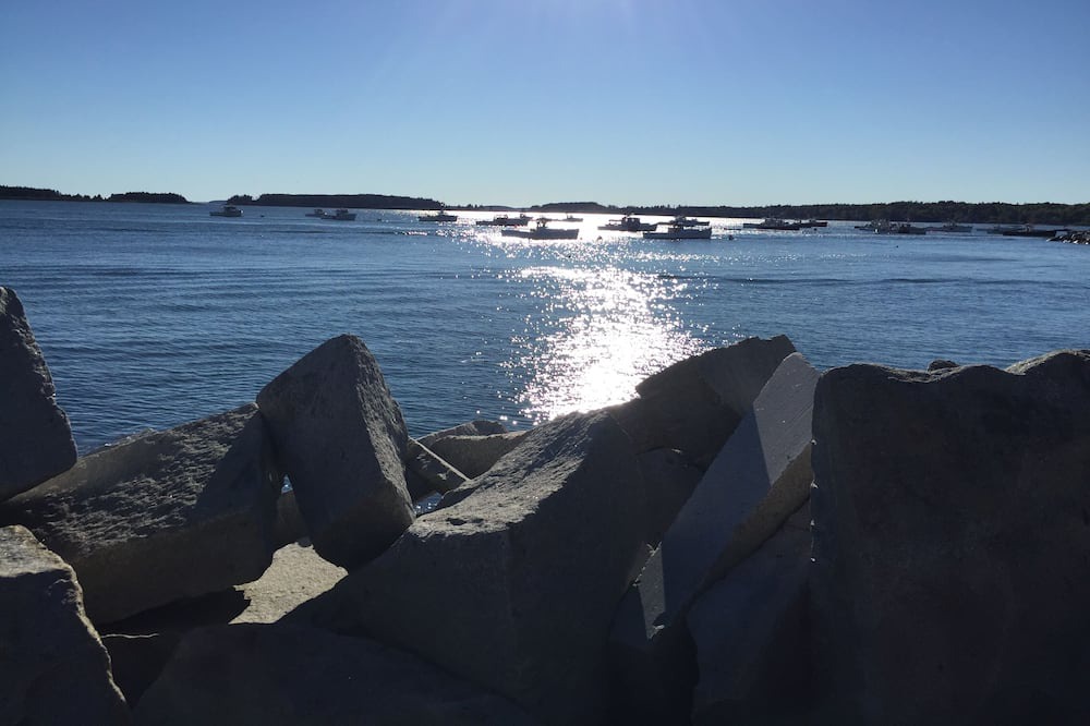 Photo of Others in Spruce Head