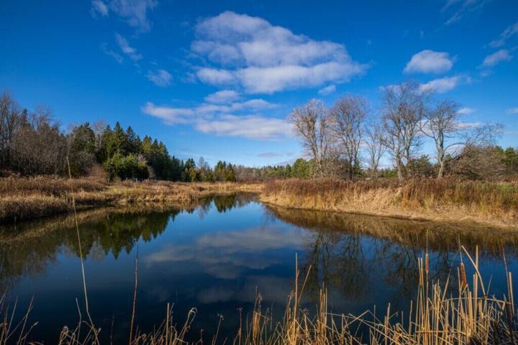 Photo of Others in Kawartha Lakes